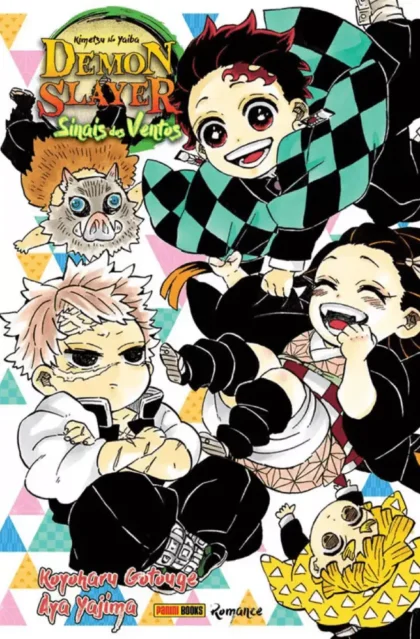 Imagem da capa do produto.